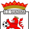 لوگوی Guadiana