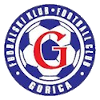 لوگوی HNK Gorica (Women)