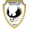 لوگوی Virginia USC