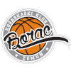 لوگوی Borac Zemun